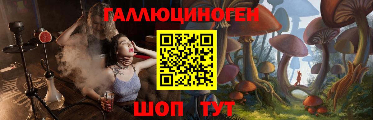 Псилоцибиновые грибы Cubensis  Вход с VPN  Старая Купавна 